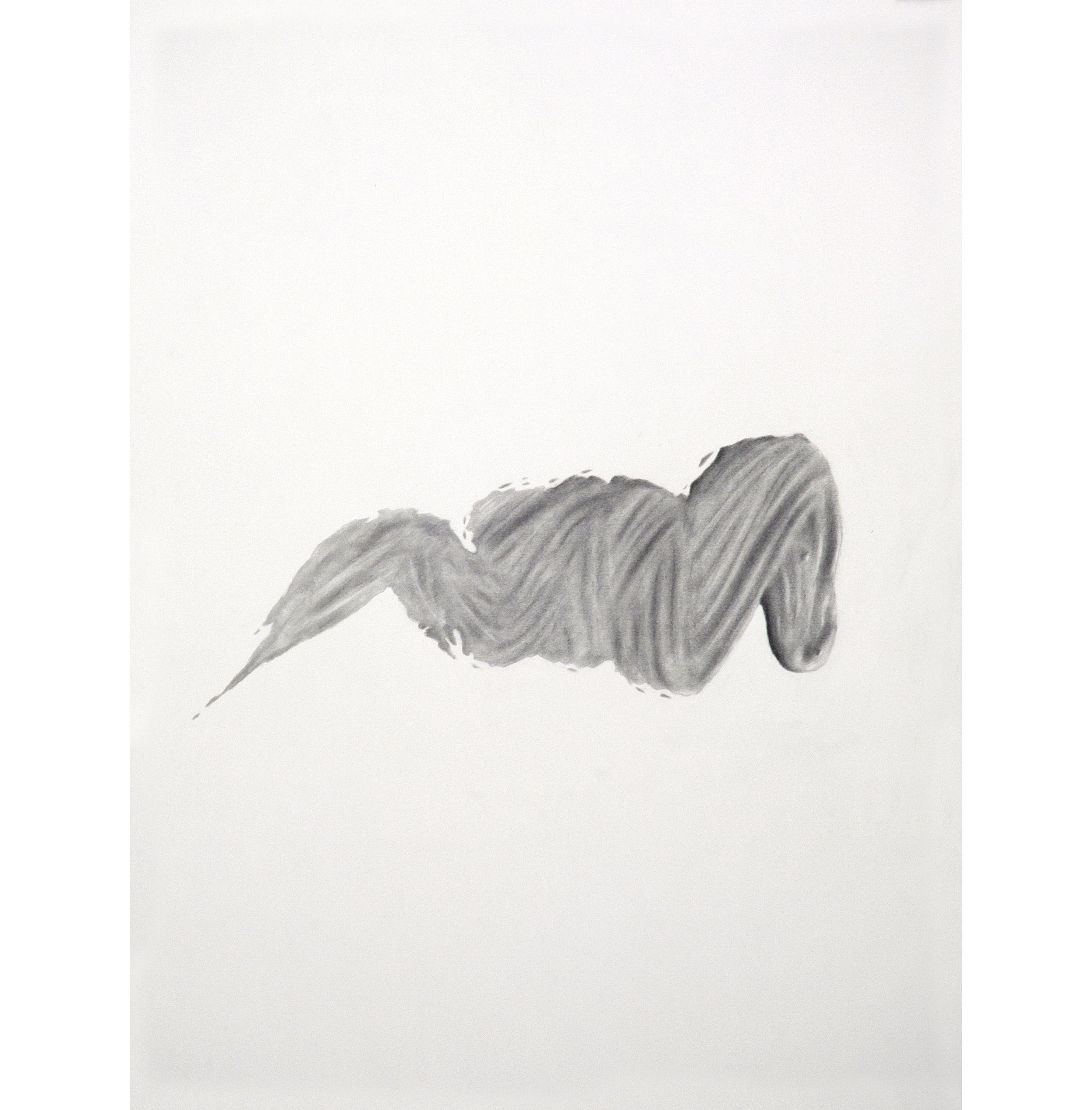 Lexicon 6, 2013, graphite on paper, 24” x 18”