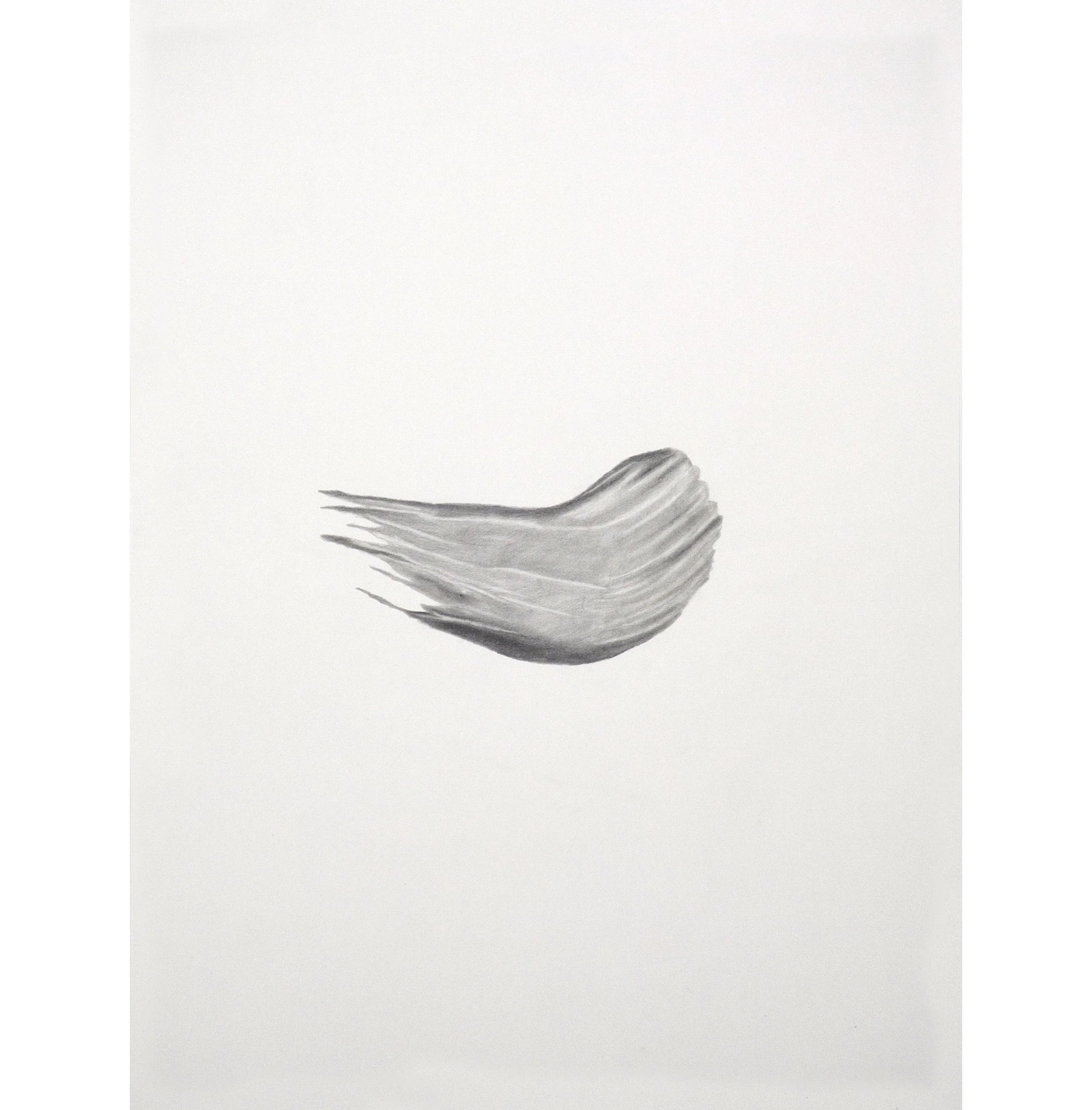 Lexicon 7, 2013, graphite on paper, 24” x 18”
