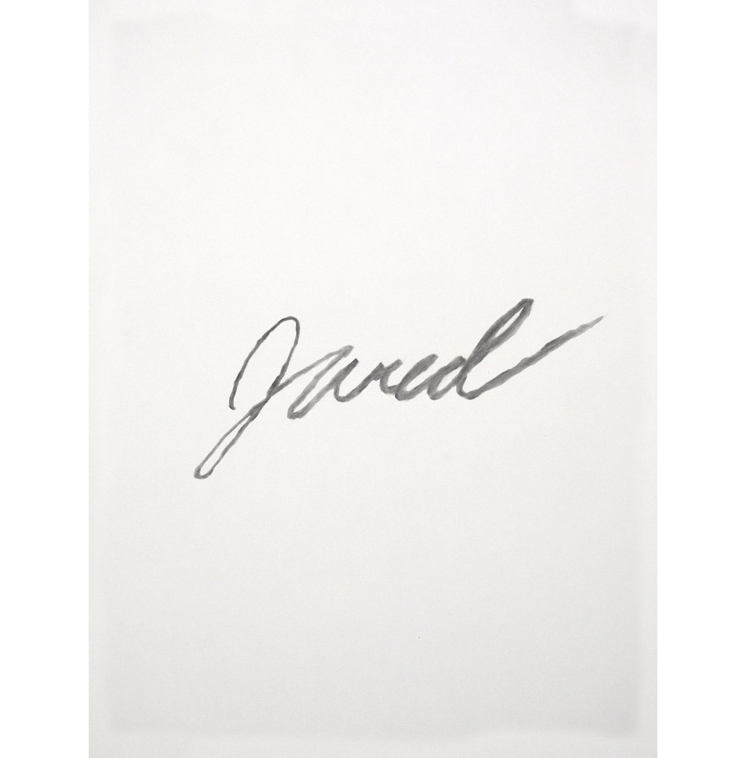 Lexicon 10, 2013, graphite on paper, 24” x 18”