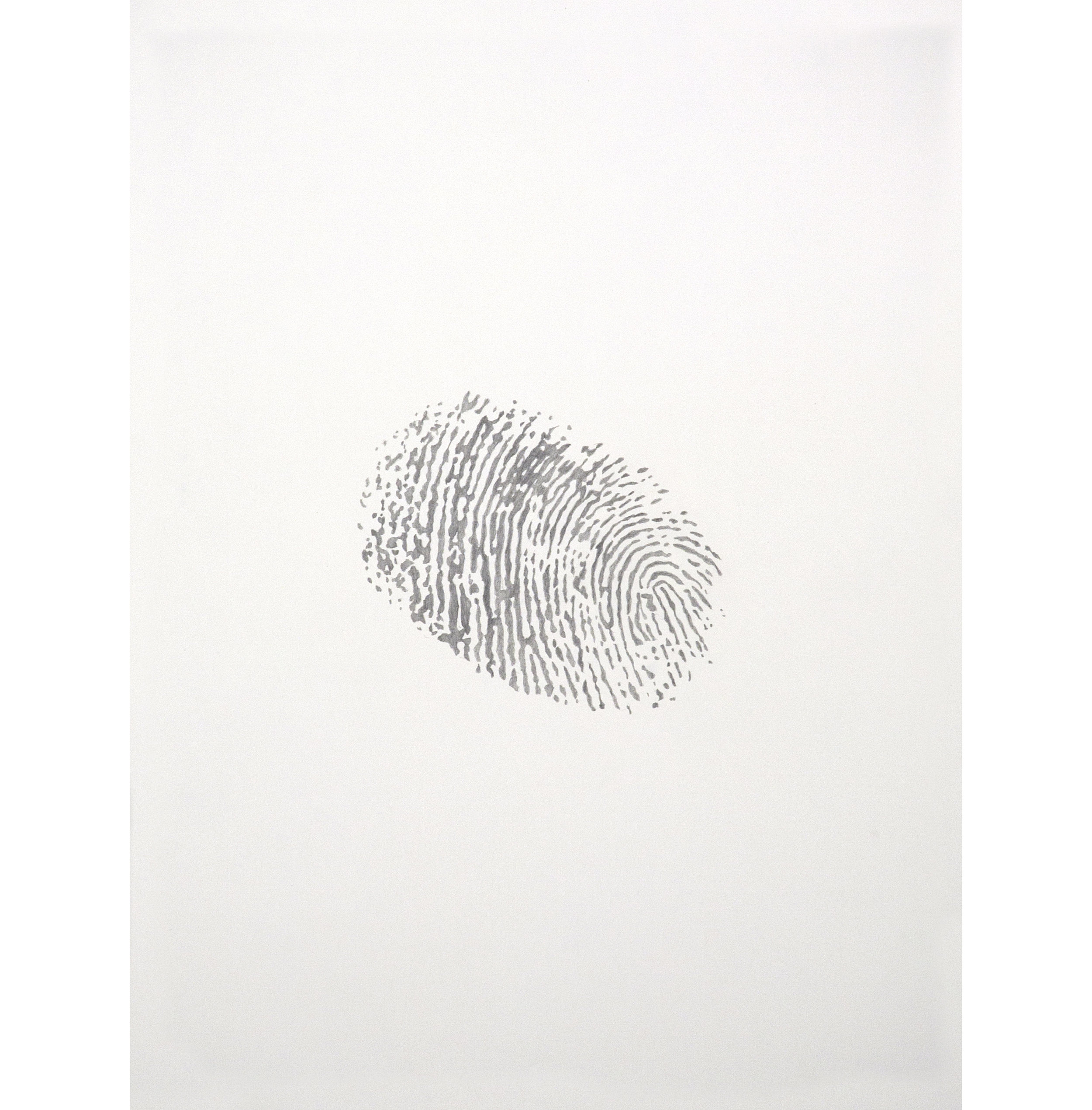 Lexicon 11, 2013, graphite on paper, 24” x 18”