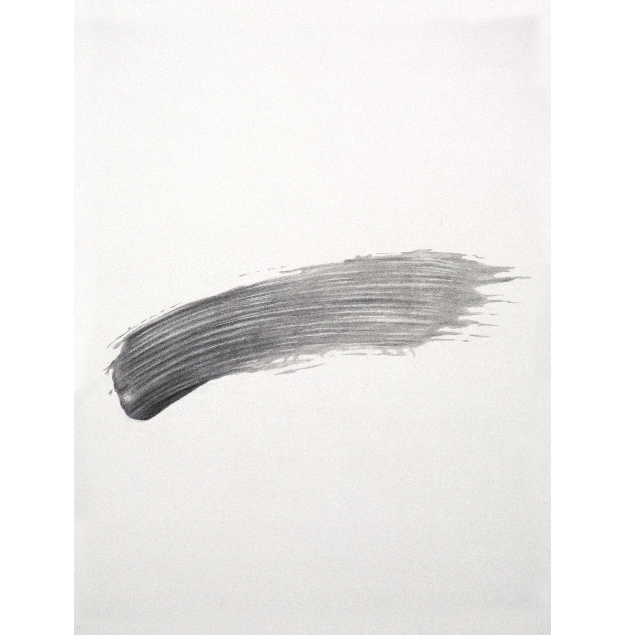 Lexicon 24, 2013, graphite on paper, 24” x 18”