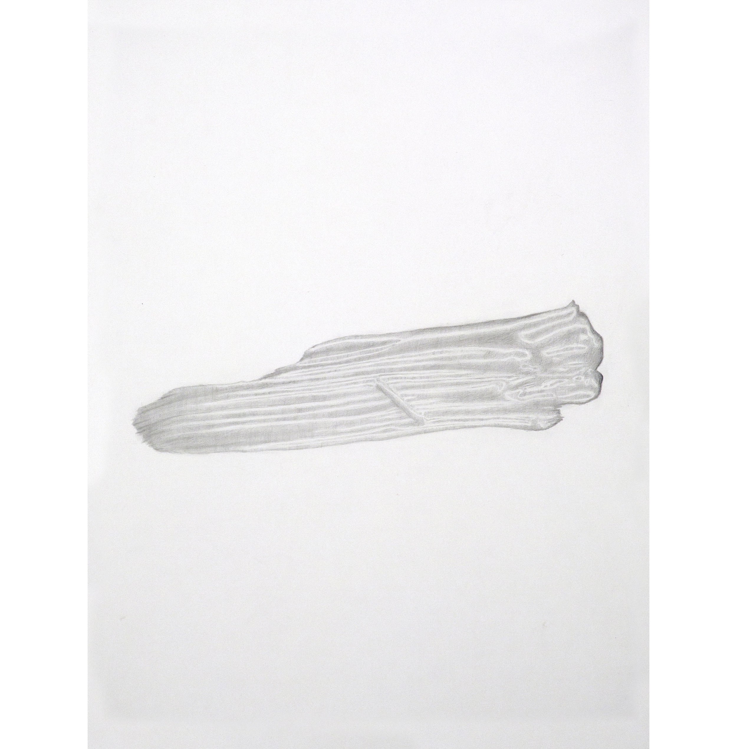 Lexicon 26, 2013, graphite on paper, 24” x 18”