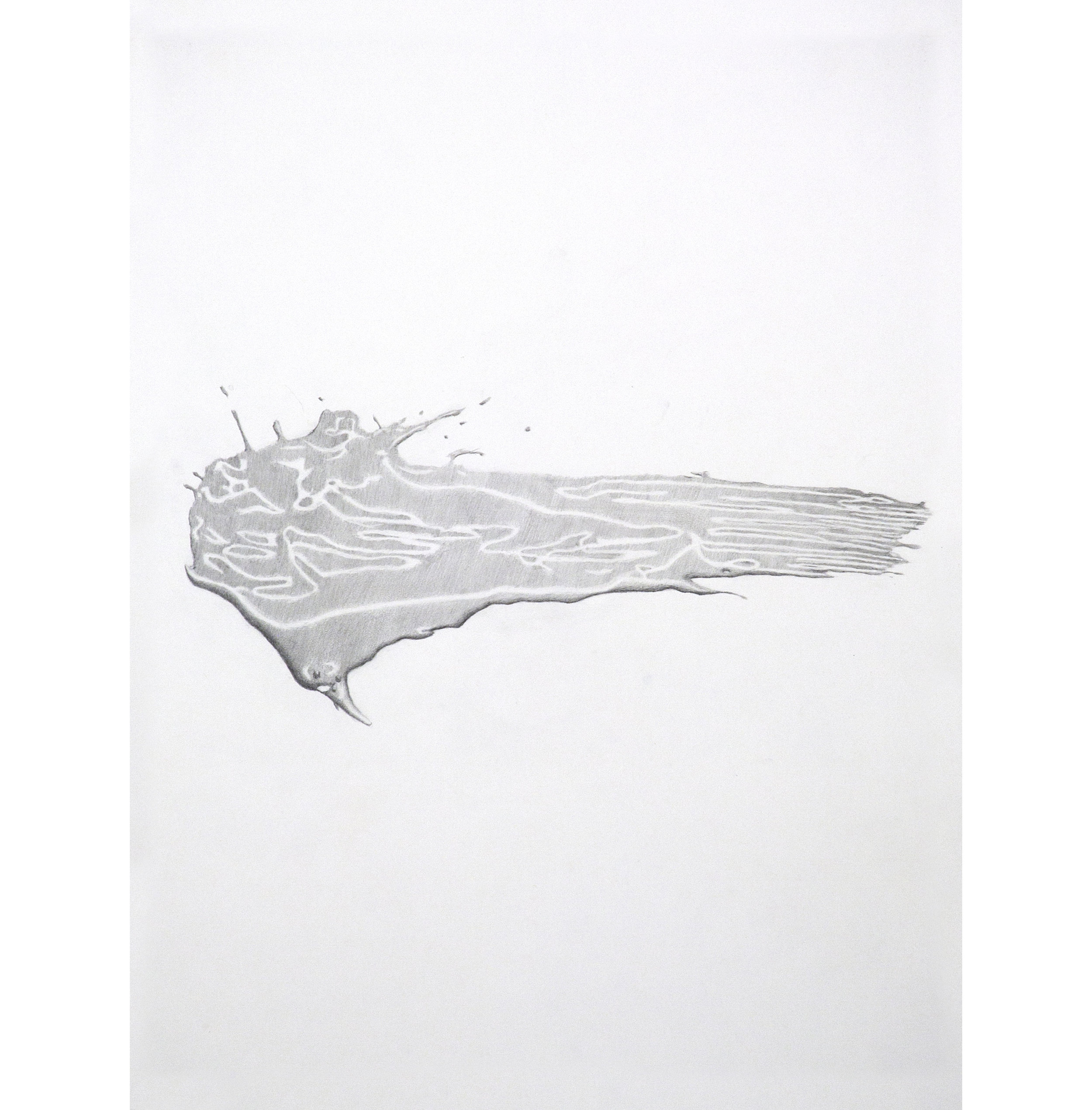 Lexicon 27, 2013, graphite on paper, 24” x 18”