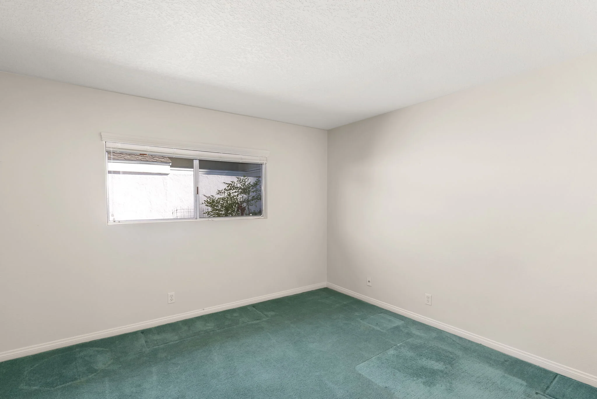 24-web-or-mls-DSC07286.jpg