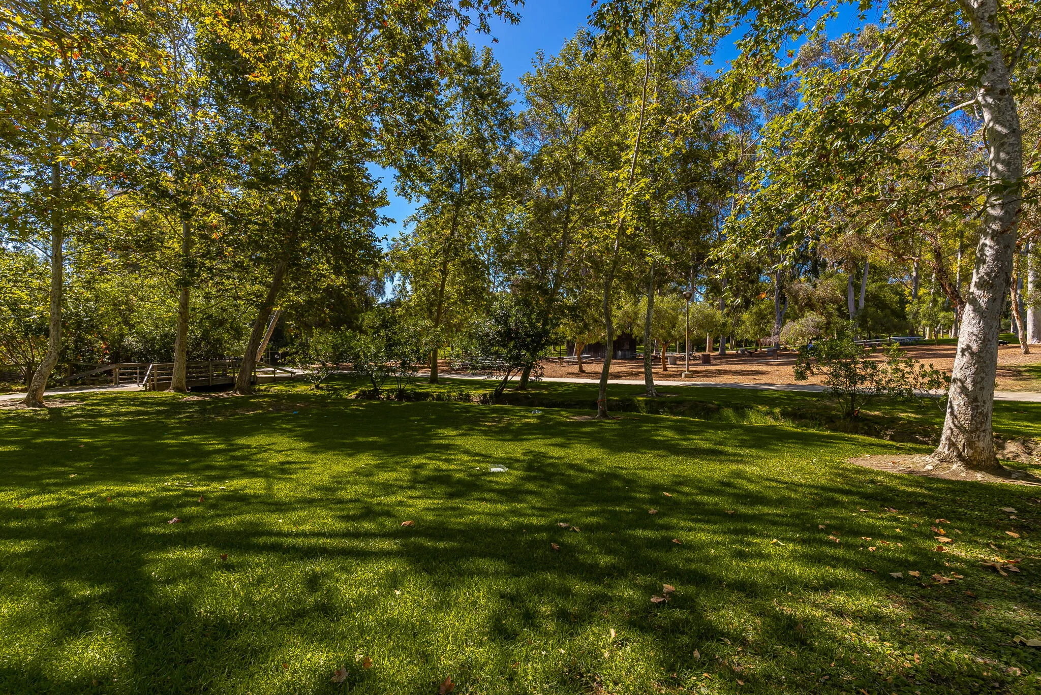 51-web-or-mls-DSC07321.jpg