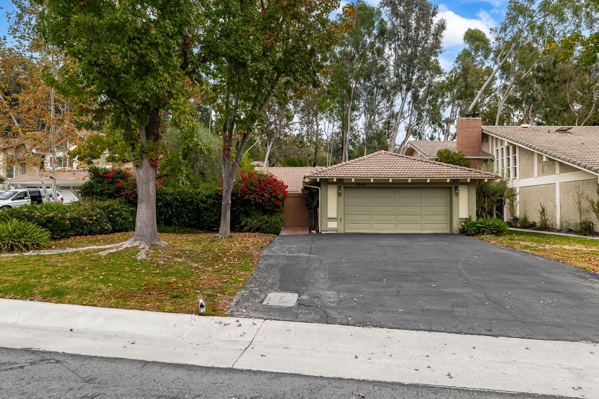 11-web-or-mls-P1022725 copy.jpg