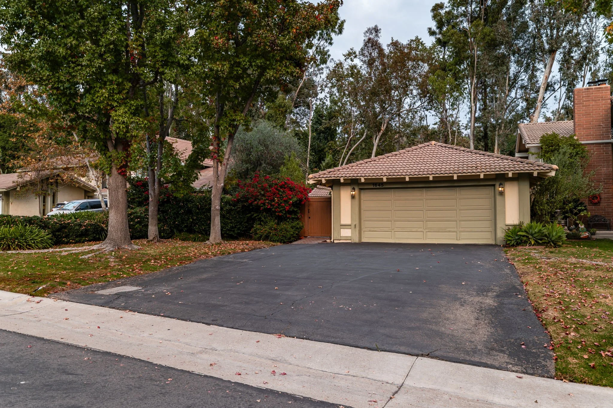61-web-or-mls-P1022871.jpg