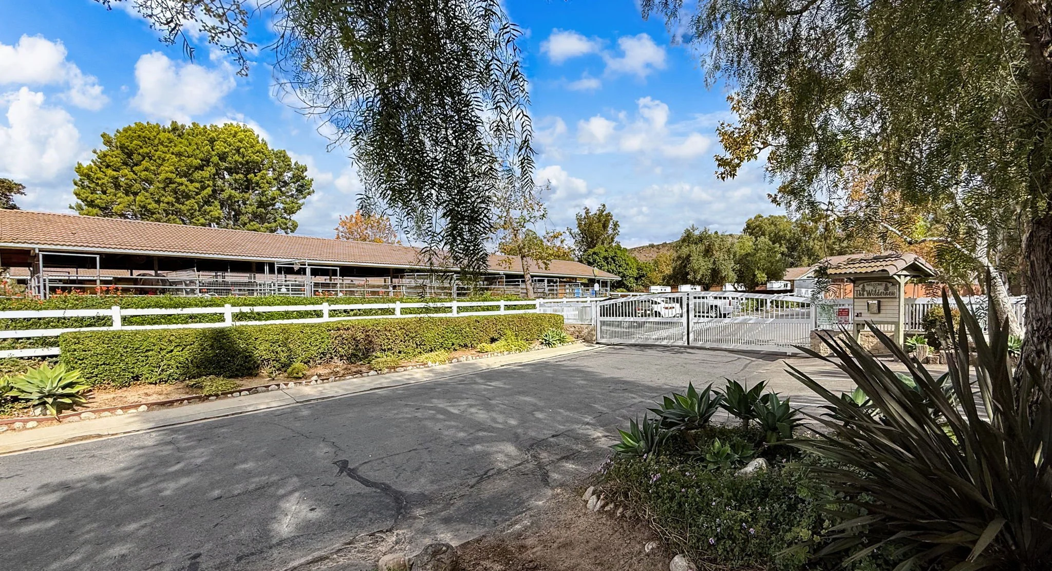 69-web-or-mls-IMG_7026 copy.jpeg