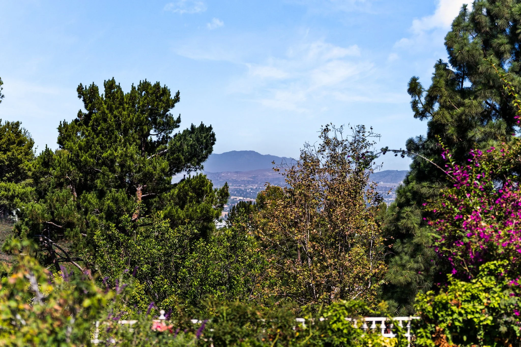 47-web-or-mls-DSC00035.jpg