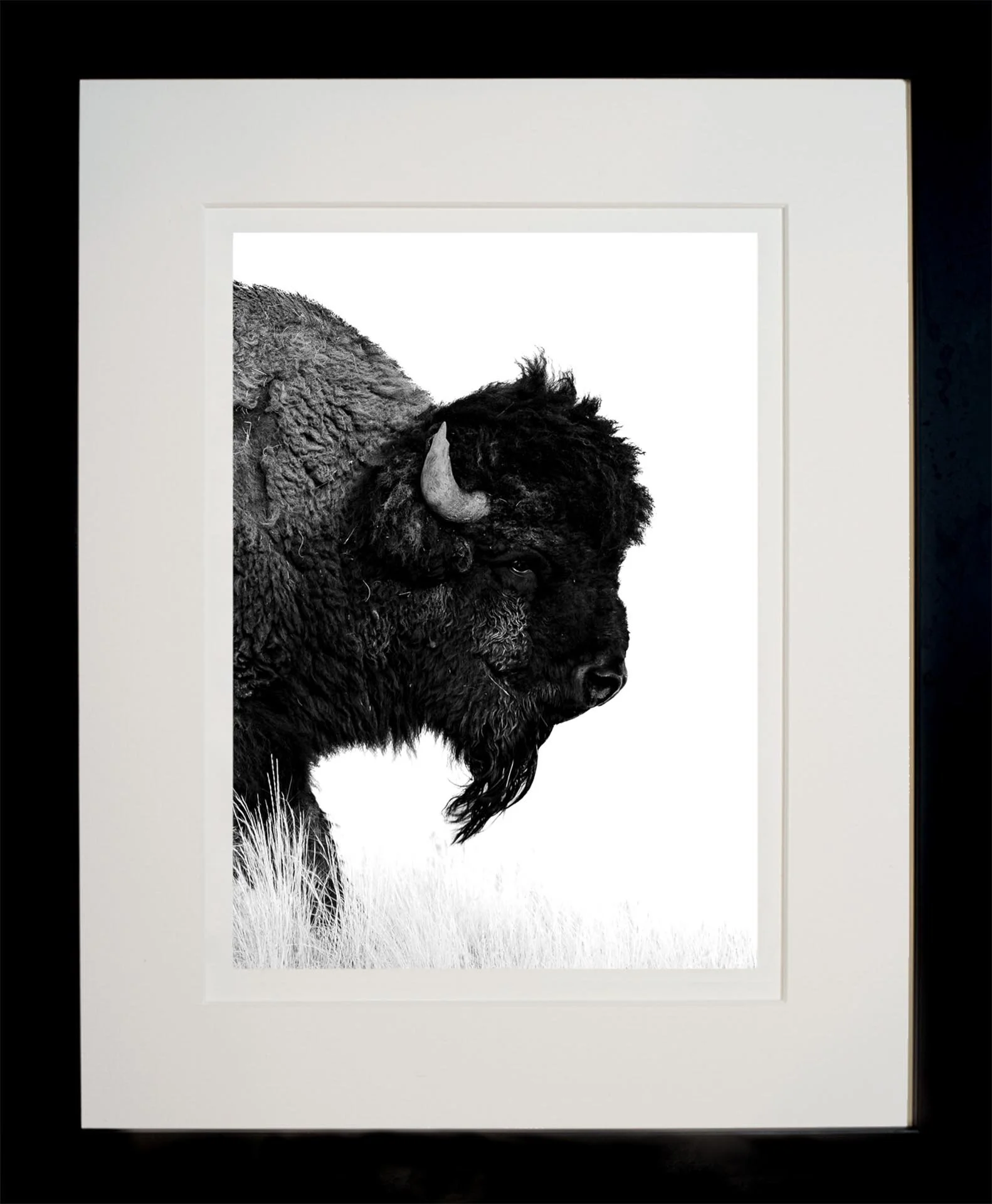 Prairie-Master-framed.jpg