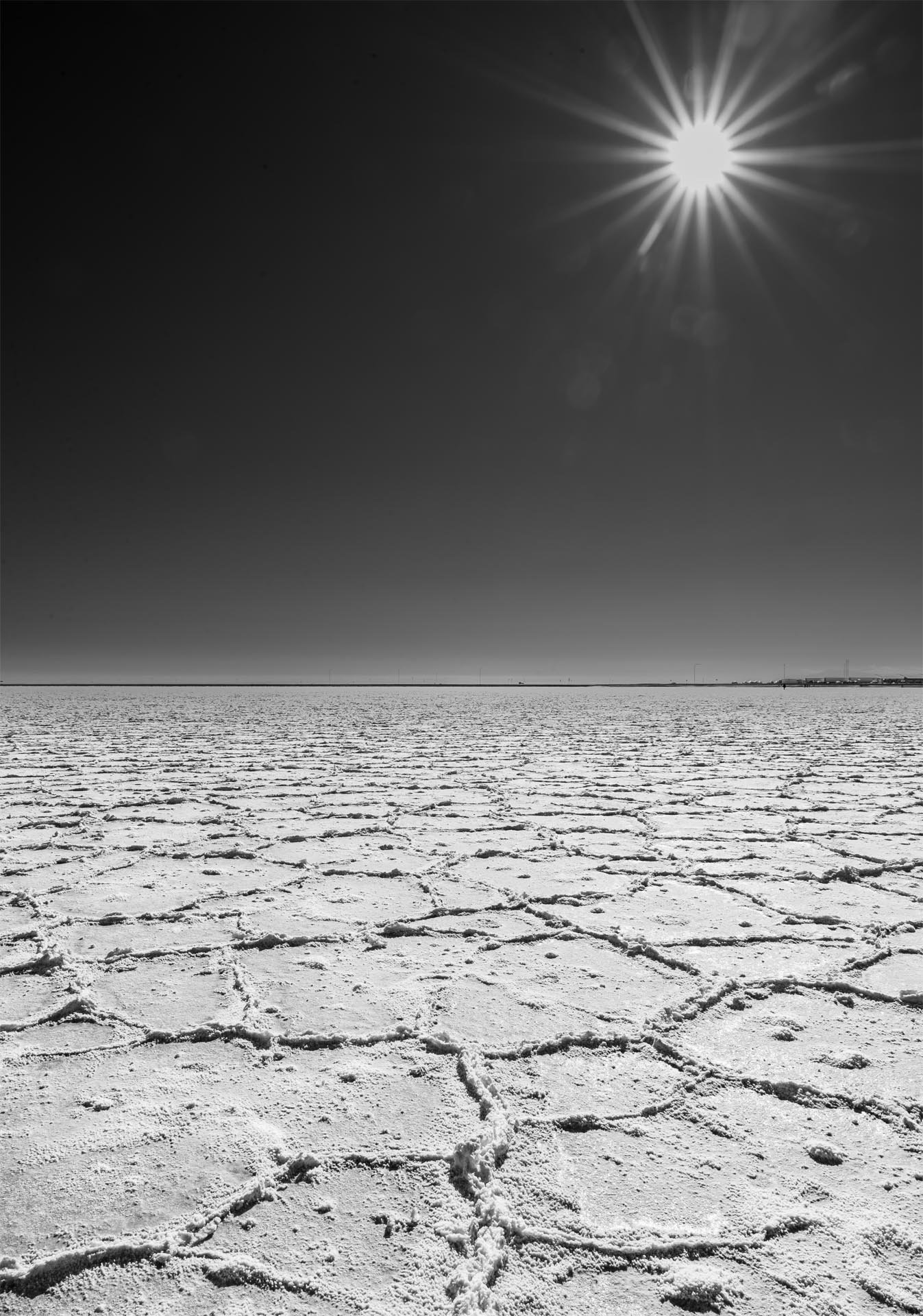 Bonneville-Afternoon.jpg