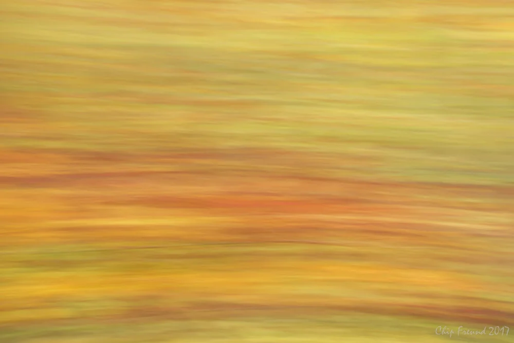 Impressions of Fall Colors - Buy a Print