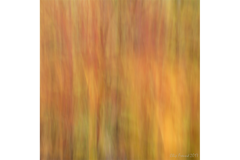 Fall-Color-1000x667.jpg