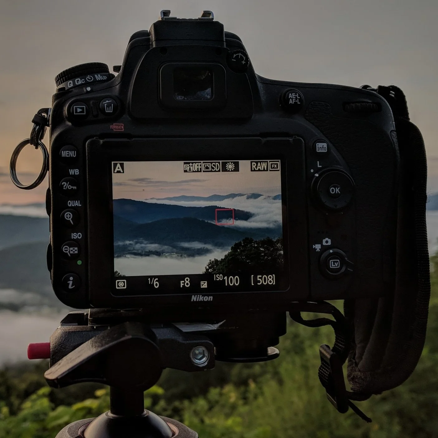 BackOfCameraSunriseSmokies.jpg