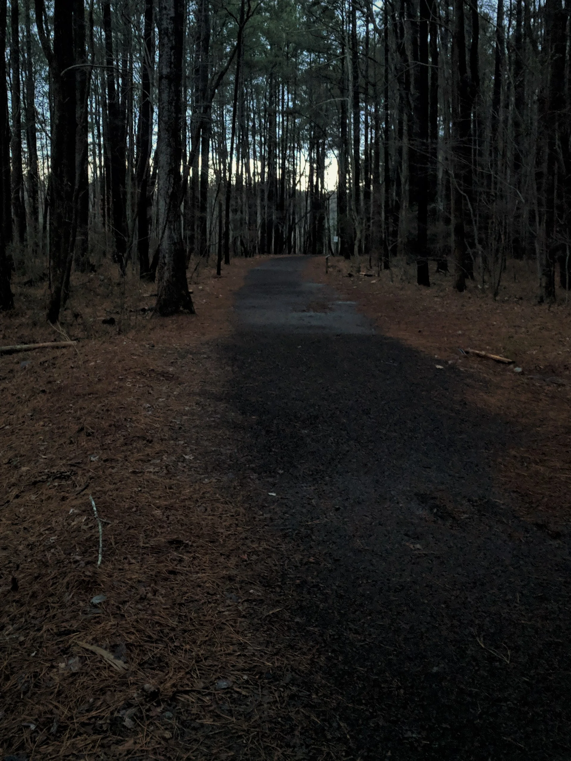 Heading west along the lake trail just before dawn.