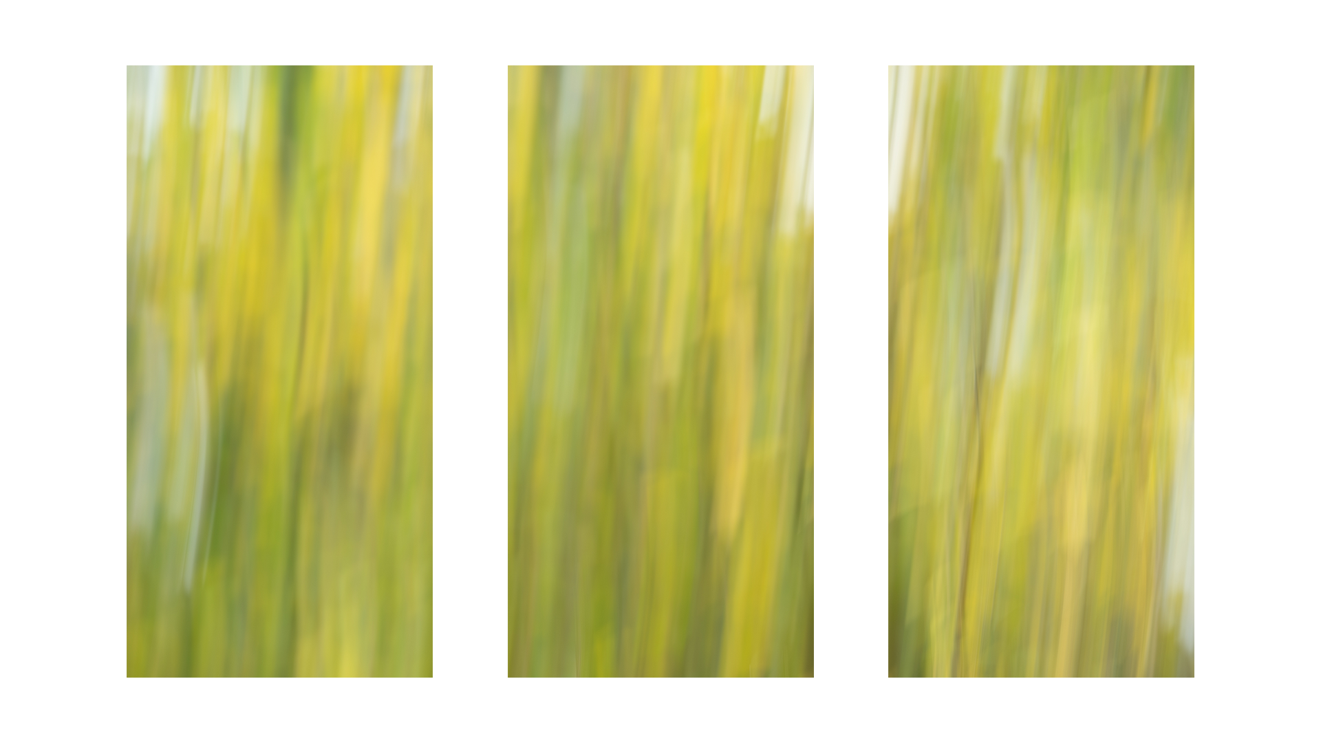 Fading-Summer-2-Tritych.png