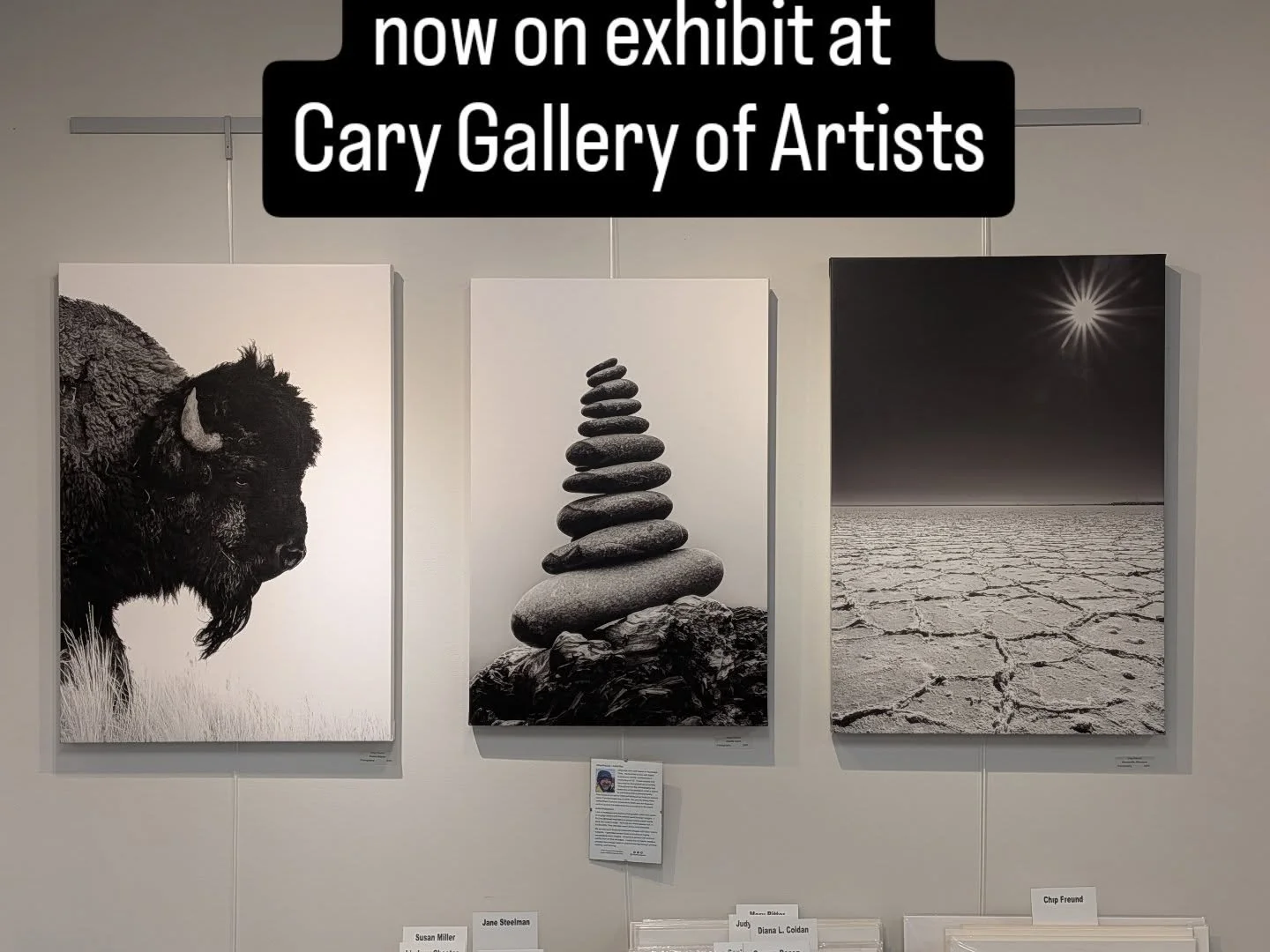 New work went up today at @carygalleryofartists . "Prairie Master", "Pacific Cairn", and "Bonneville Afternoon "