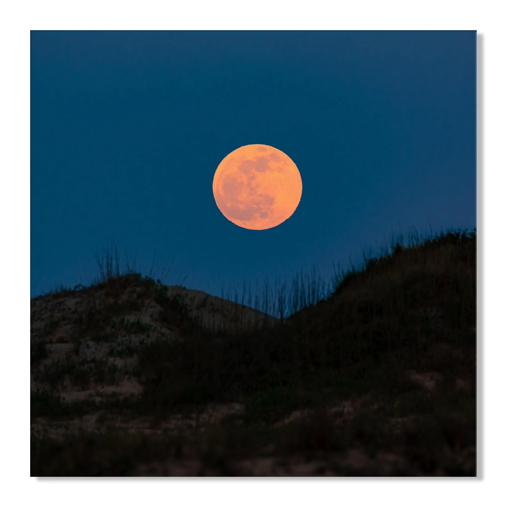 Dune-Moon-canvas.jpg