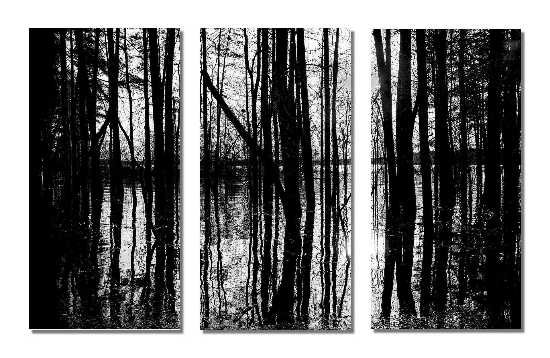 Tree-Line-Triptych.jpg