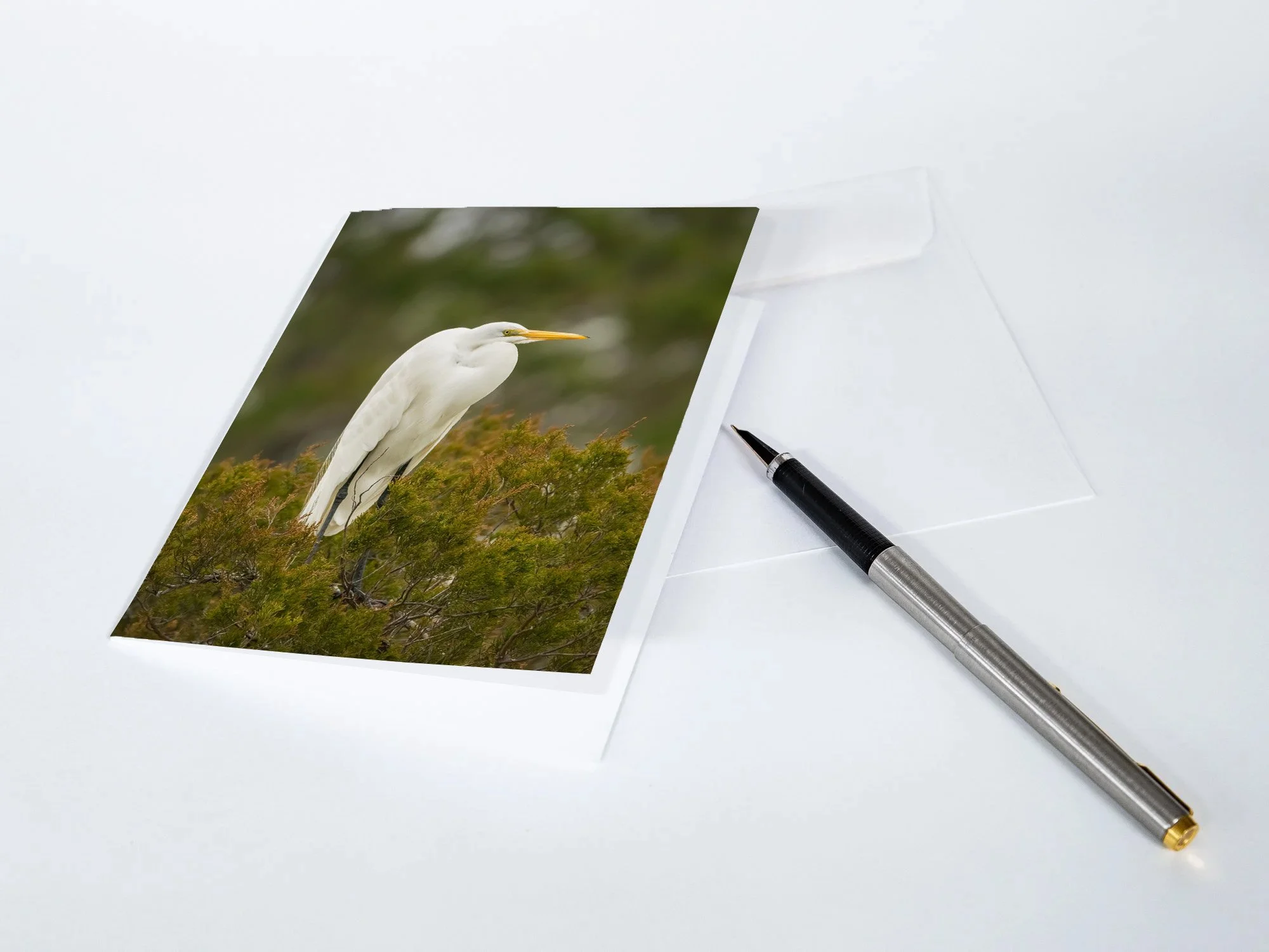 Great-Egret-Notecards.jpg