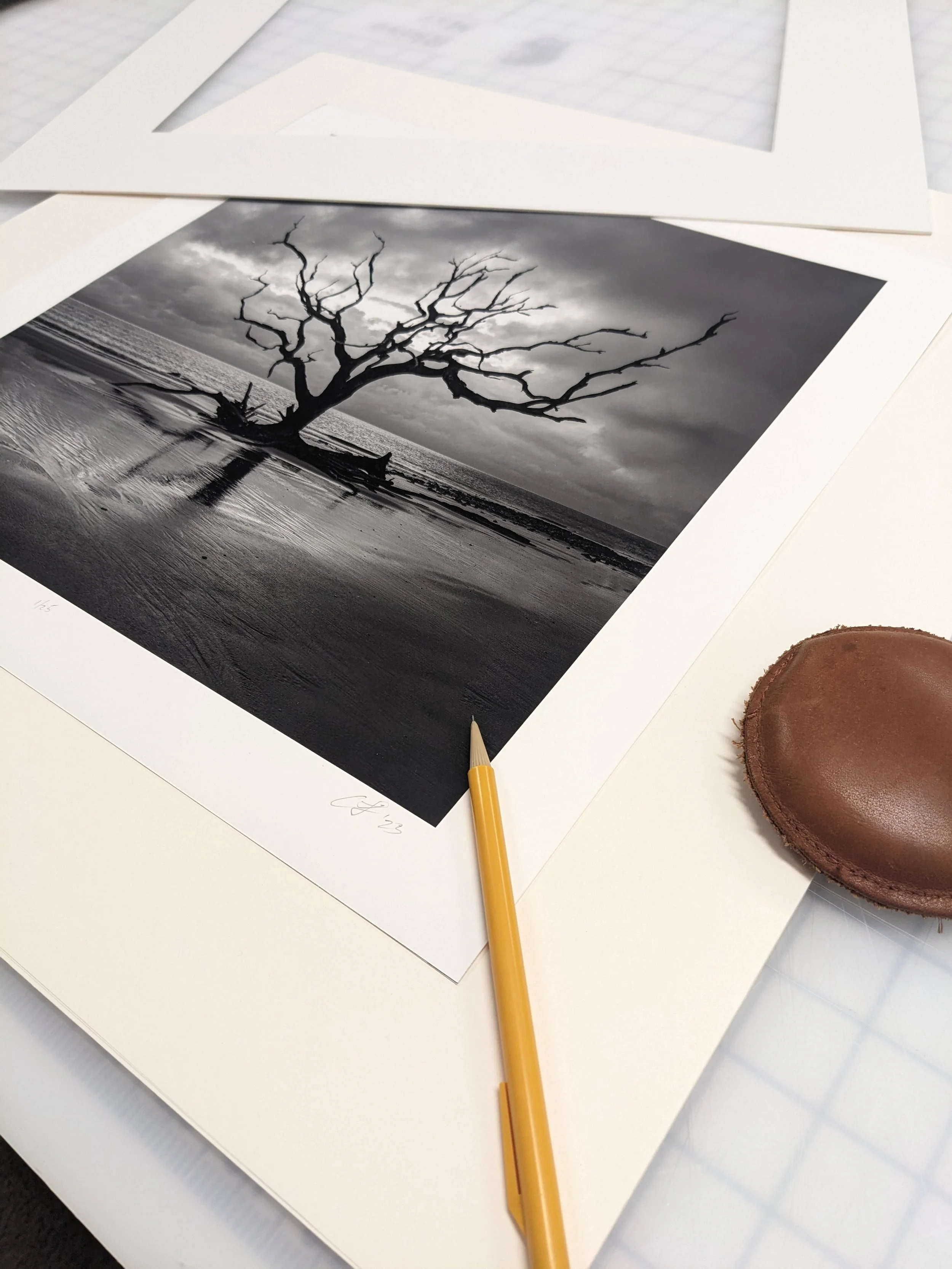 Warrior Woman Tree print signing 12" x 12" print on fine art matte paper