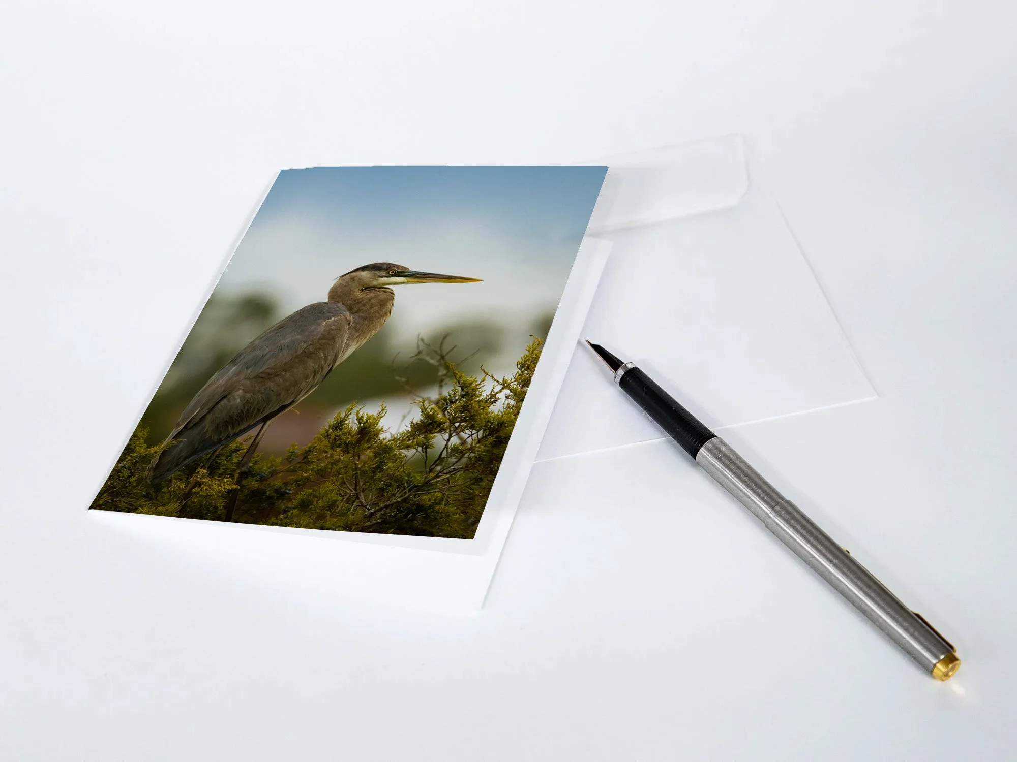 Great-Blue-Heron-Notecards.jpg