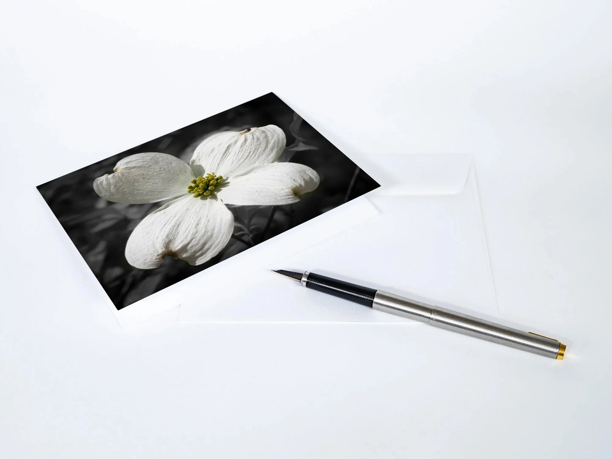 Dogwood-Flower-Notecards.jpg