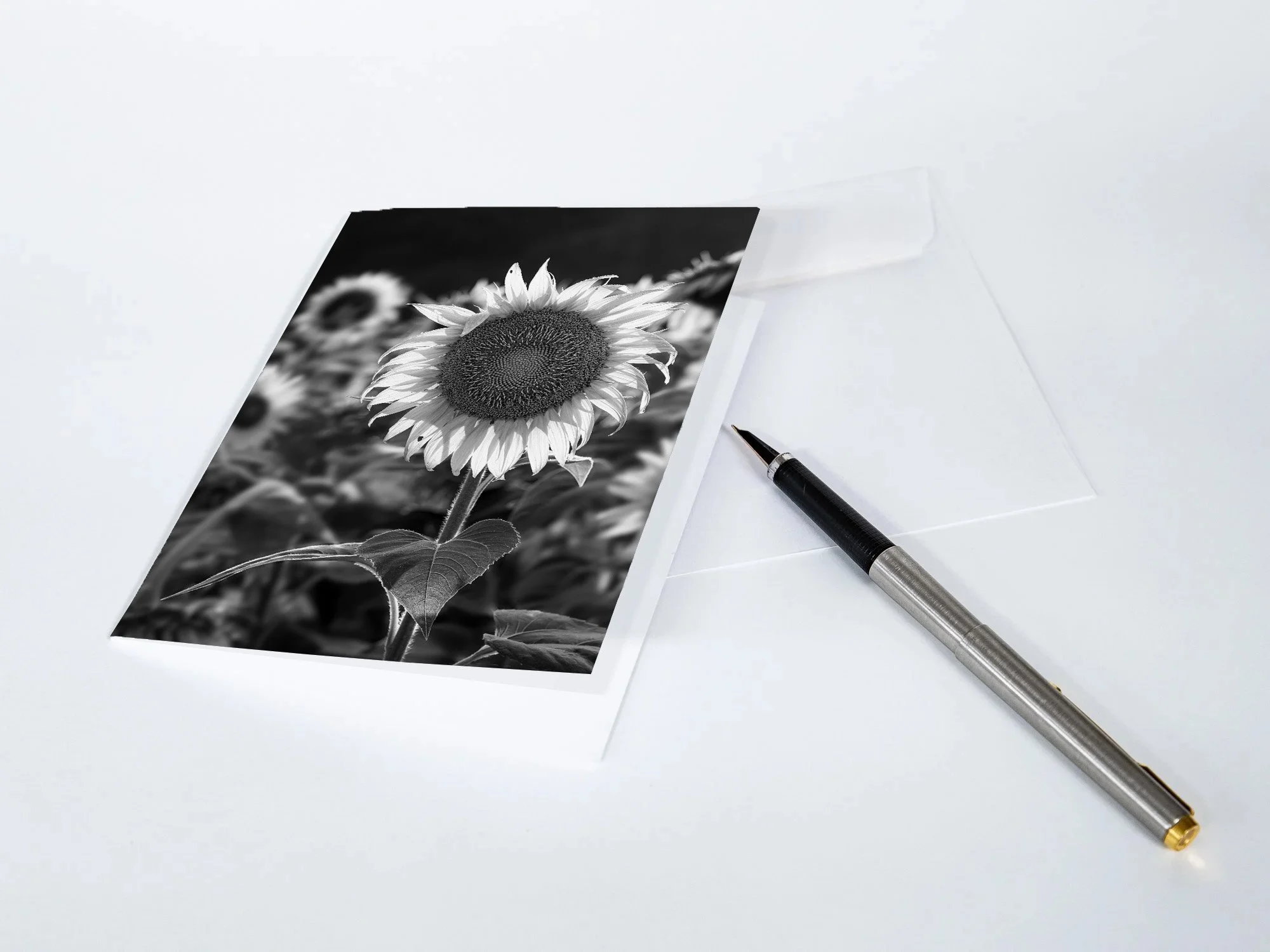 Sunflower-Notecards.jpg