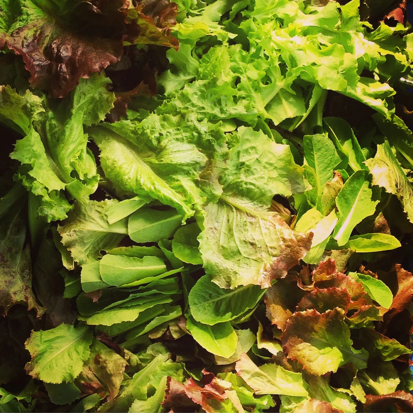 Why I eat organic food