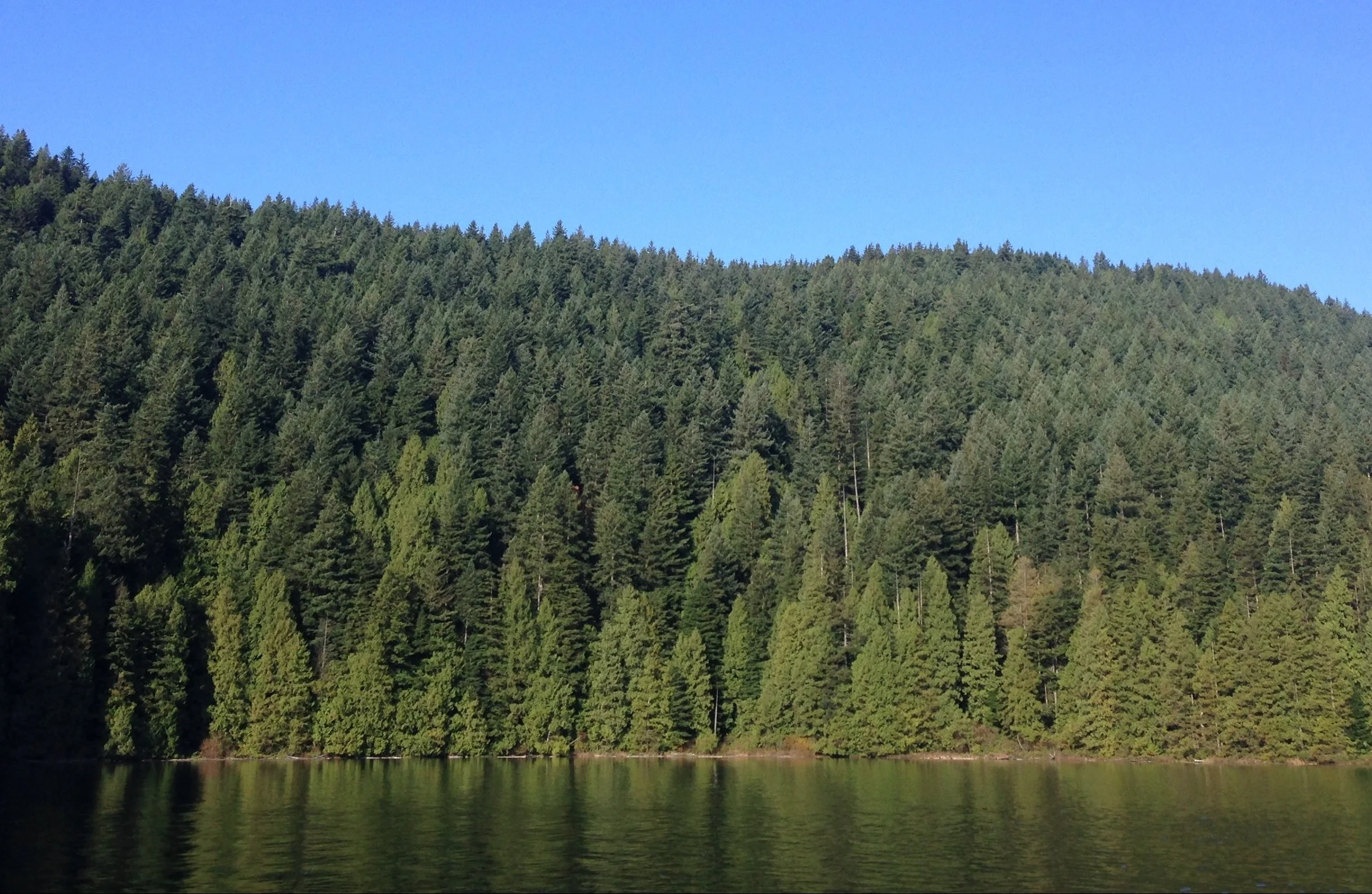 What can nature teach us about our waste?
