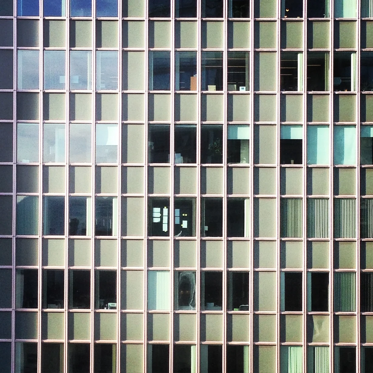 Escape the 9 to 5