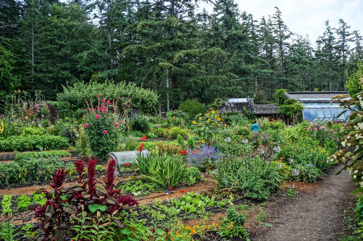 10-Use-and-Value-diversity-Diversity-neednt-be-solely-in-the-way-we-view-our-garden-design.-It-can-be-in-all-aspects-of-life-too.-Imagine-if-this-garden-represented-the-diversity-of-society-e1495215497322.jpg