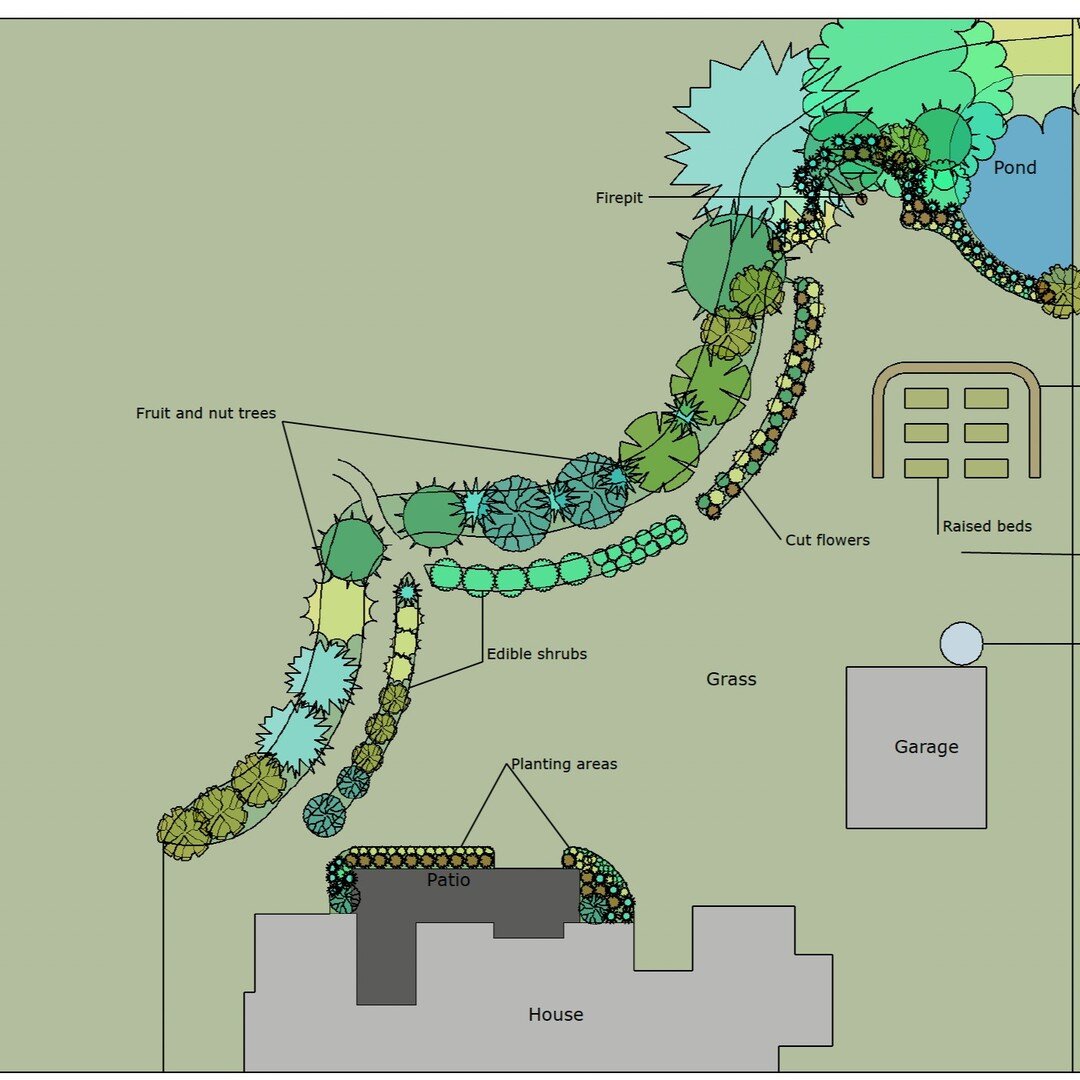 This was a fun one. A beautiful newly built spot in Black Creek. The aim was to extend the look of the forest into the garden while bringing food for the home owners and the forest dwellers. The client wanted 'curves and waves' too which I'm always a