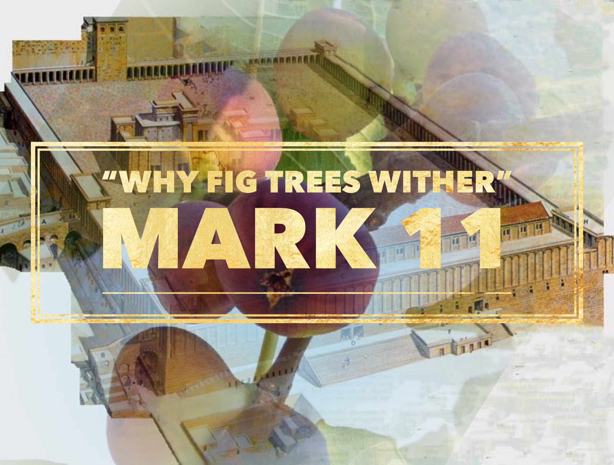 "Why Fig Trees Wither" - Robert Clark at McBee Baptist Church 