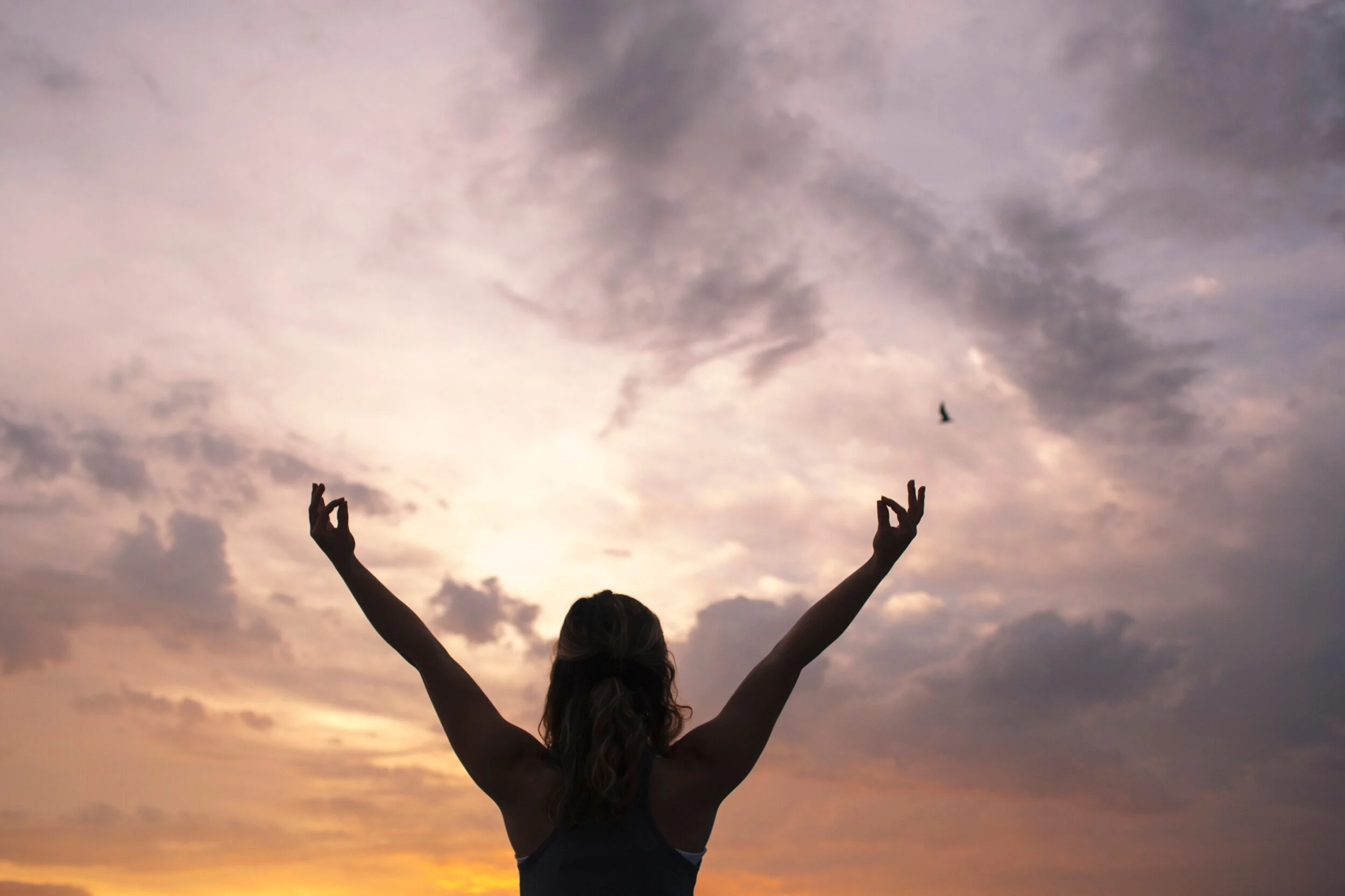 Renew: A Morning Yoga Flow 