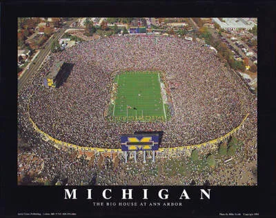 michigan-stadium-university-of-michigan-ann-arbor.jpg