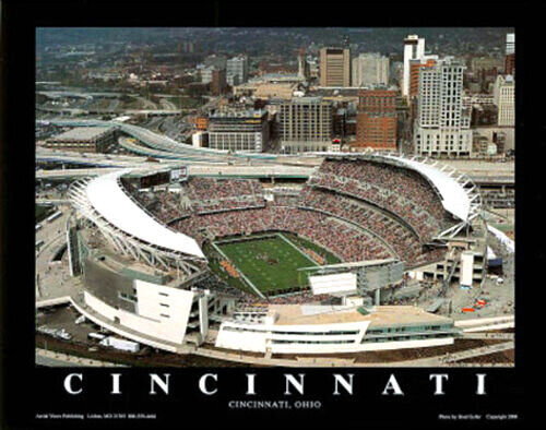 7 NFL Cincinnati-Bengals.jpg