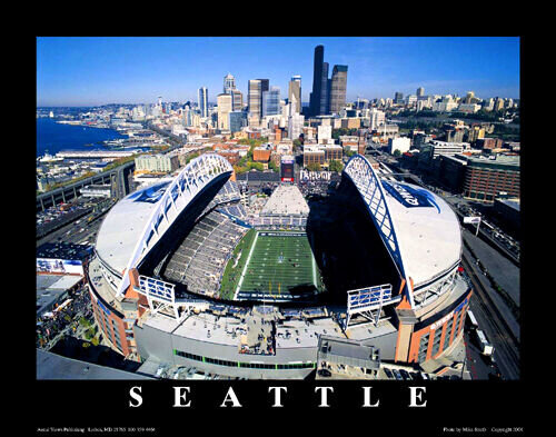 31 NFL Seattle-Seahawks.jpg