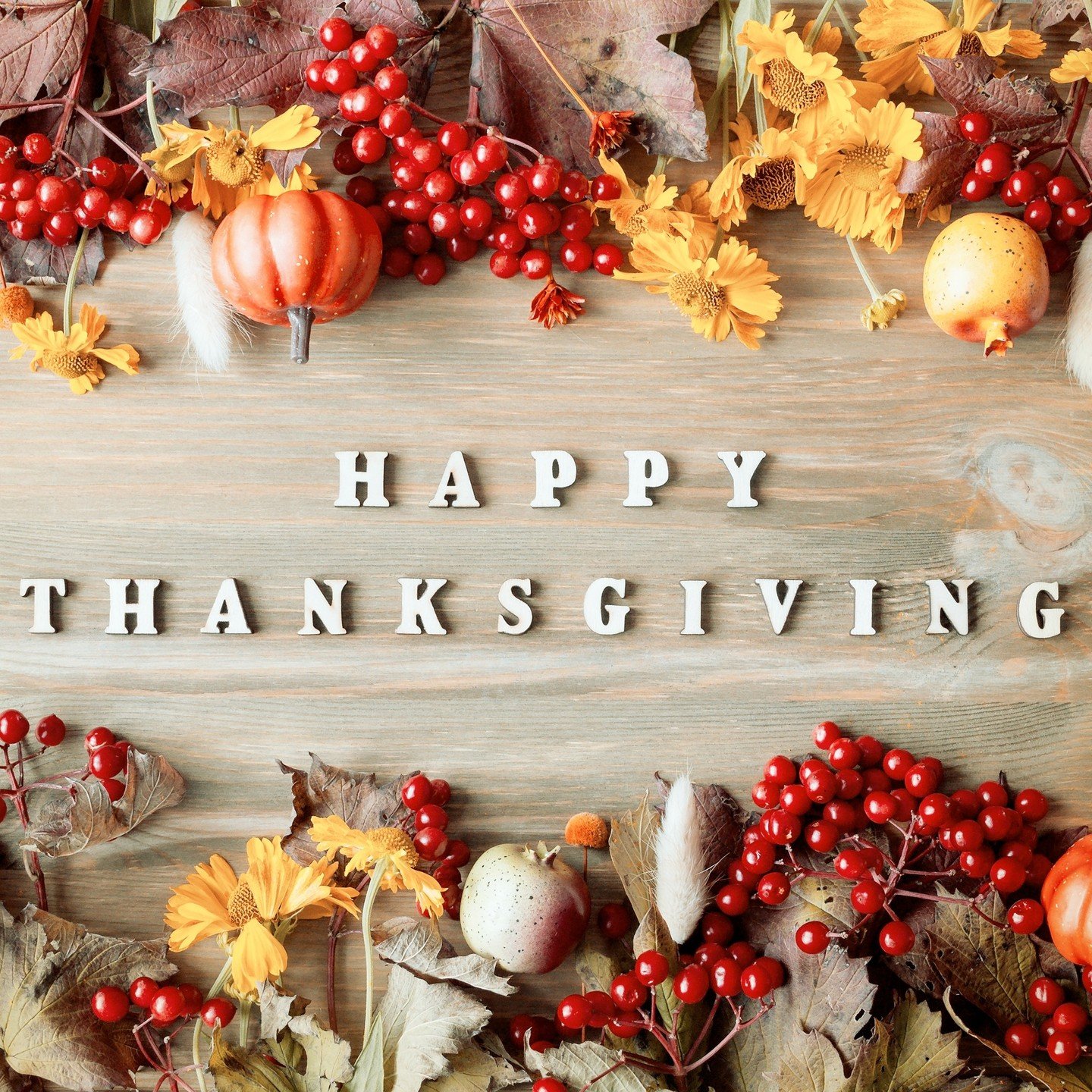 We are wishing you the happiest of holidays whether its your Thanksgiving or Friendsgiving, whether you have a turkey or a tofurkey today, whether you ran a turkey trot or will be watching football in your Lazyboy all day. Whatever your plans, wherev