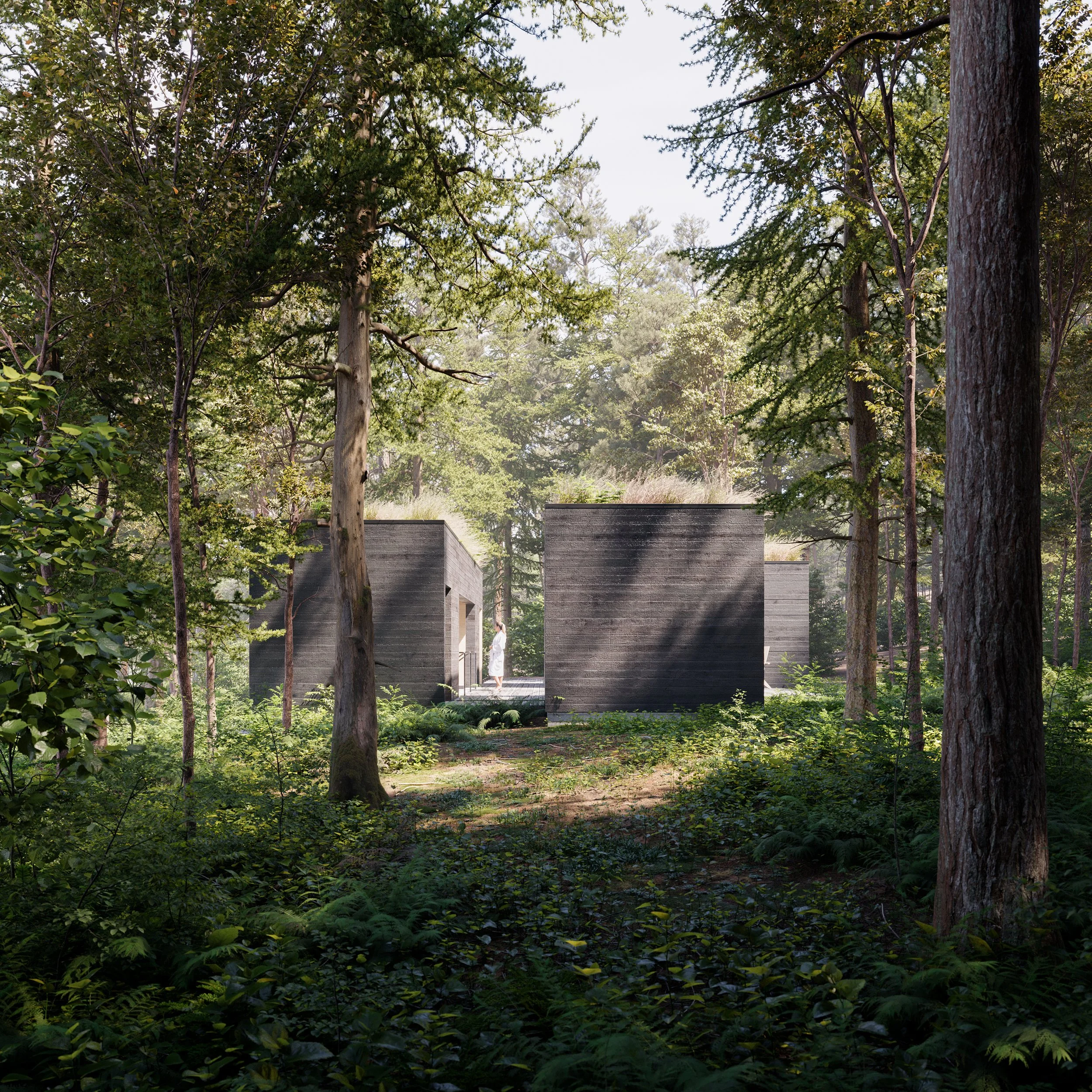 Guemes Island_Side.jpg