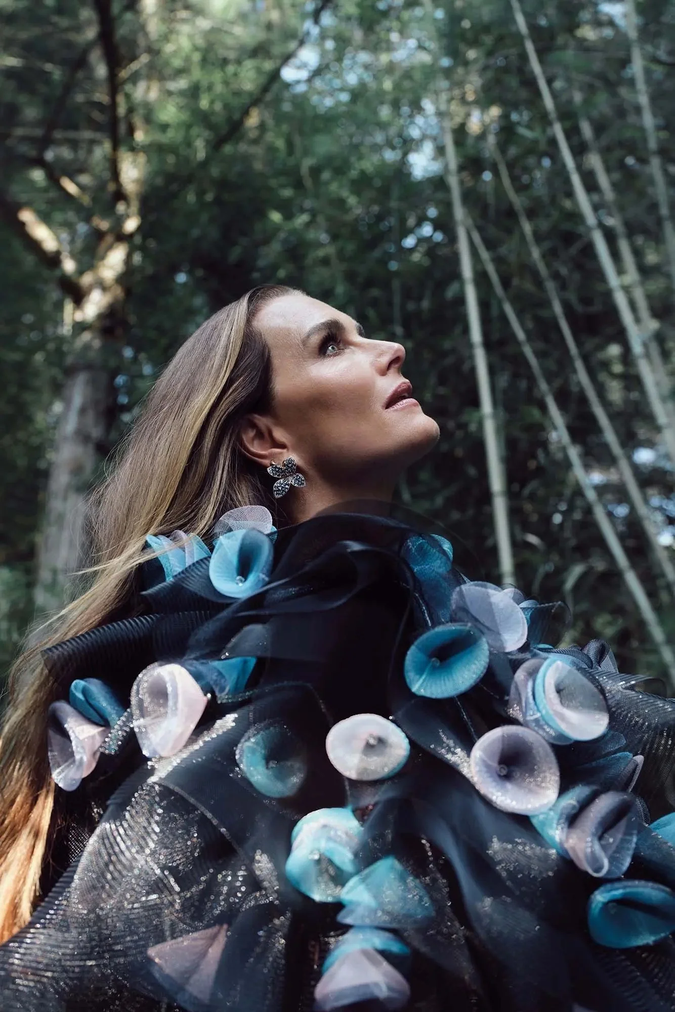 BROOKE SHIELDS 1.jpg