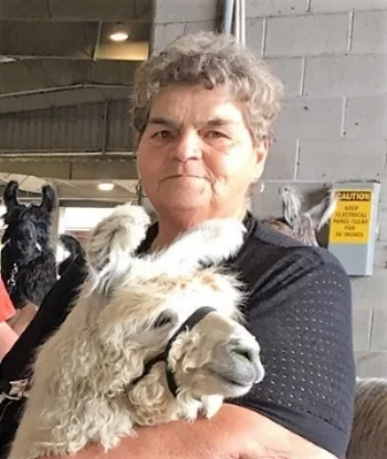 Exhibit Alpaca 1.jpg
