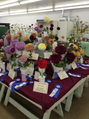 Exhibit Floriculture 1.jpg