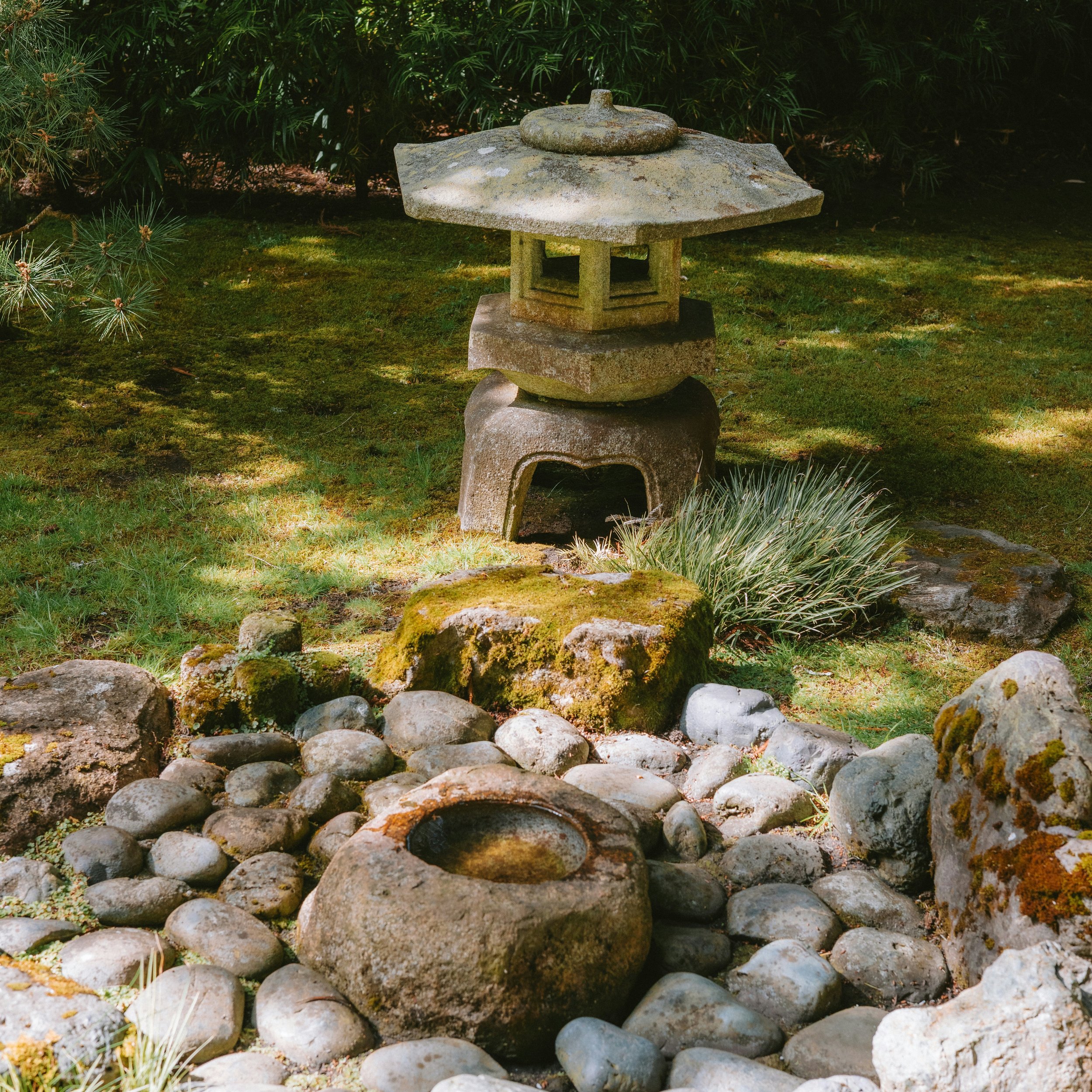 Department: 156-Japanese Tea Garden:              “Cha no Niwa"