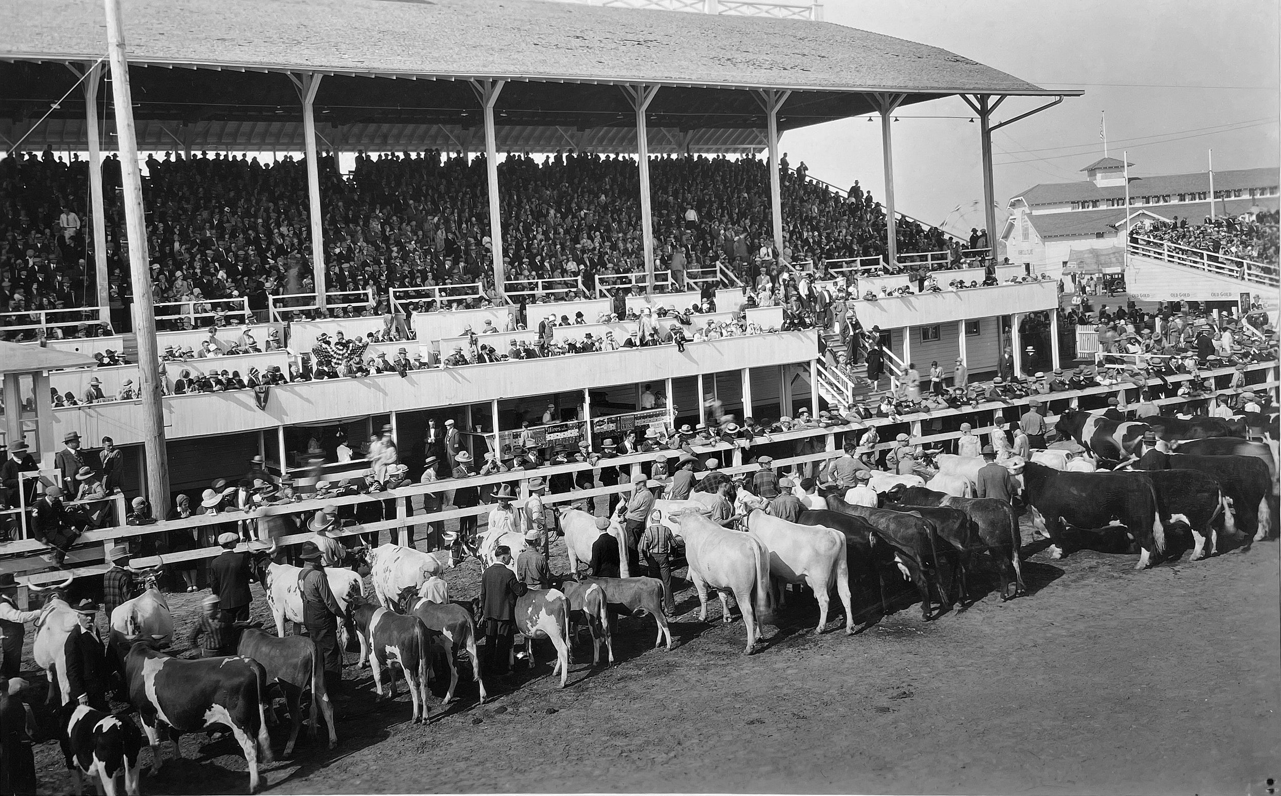 MCF History — Missoula Fairgrounds