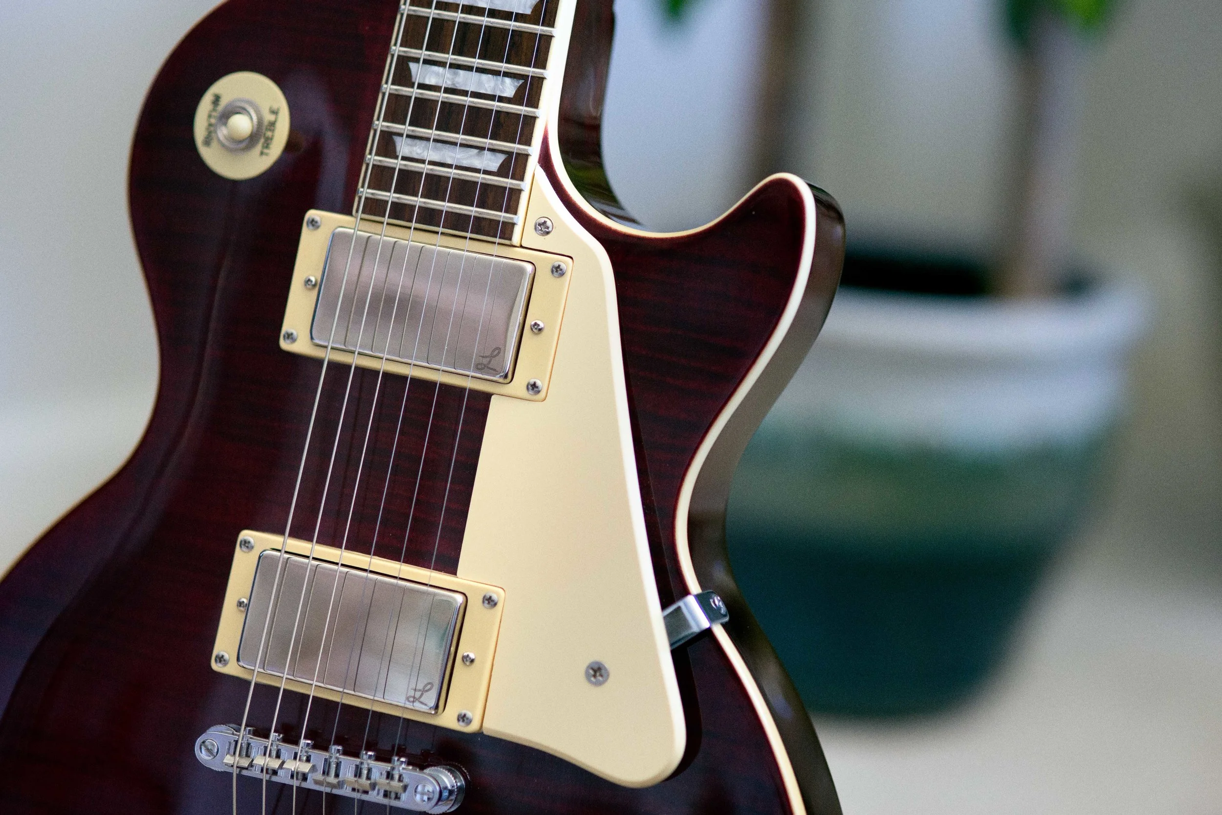 LAMBERTONES_DavidMack_LesPaul_4.jpg