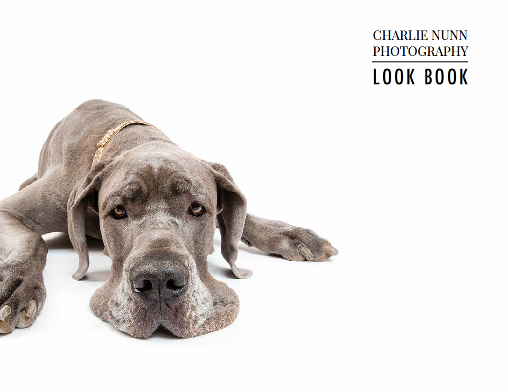 Screen Shot 2019-11-07 at 5.28.09 PM.png