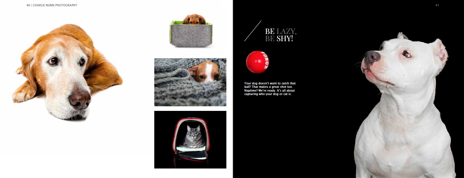 Screen Shot 2019-11-07 at 5.31.37 PM.png