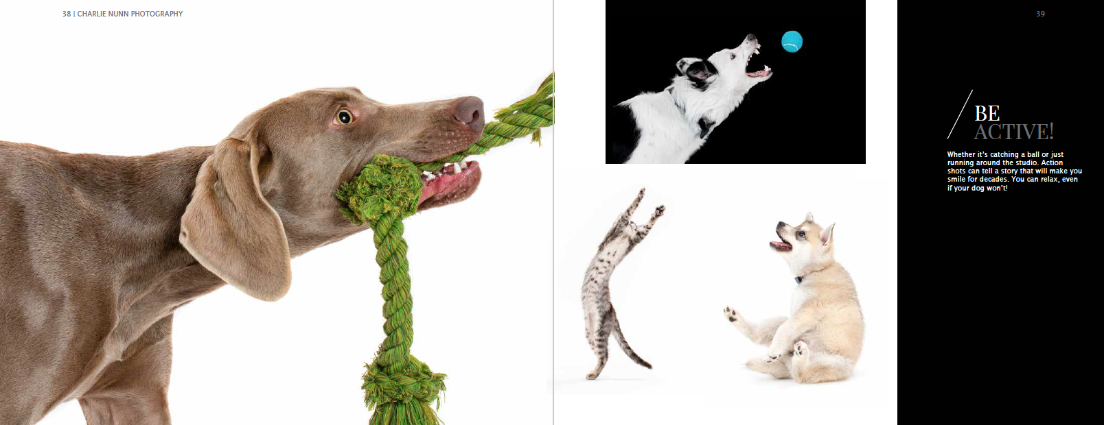 Screen Shot 2019-11-07 at 5.31.28 PM.png