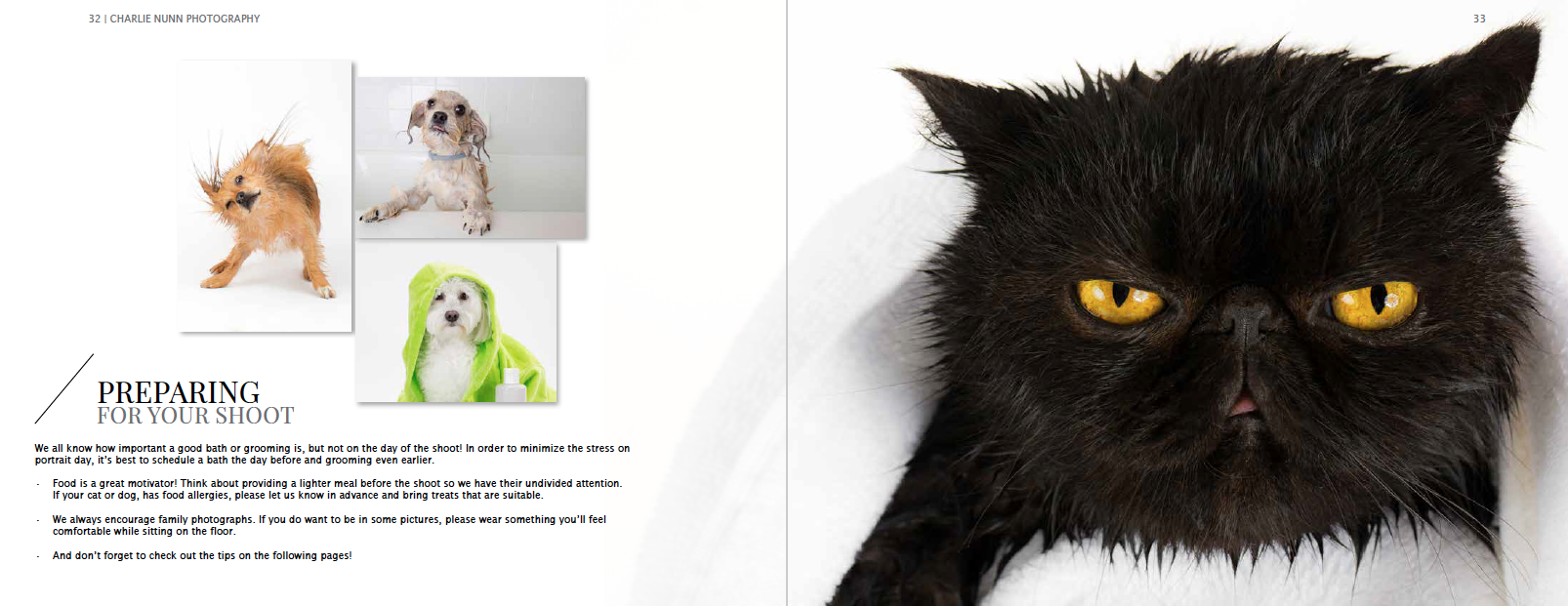 Screen Shot 2019-11-07 at 5.31.12 PM.png